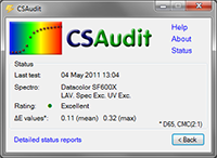 CS Audit