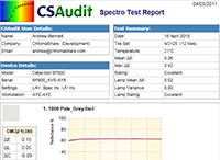 CS Audit